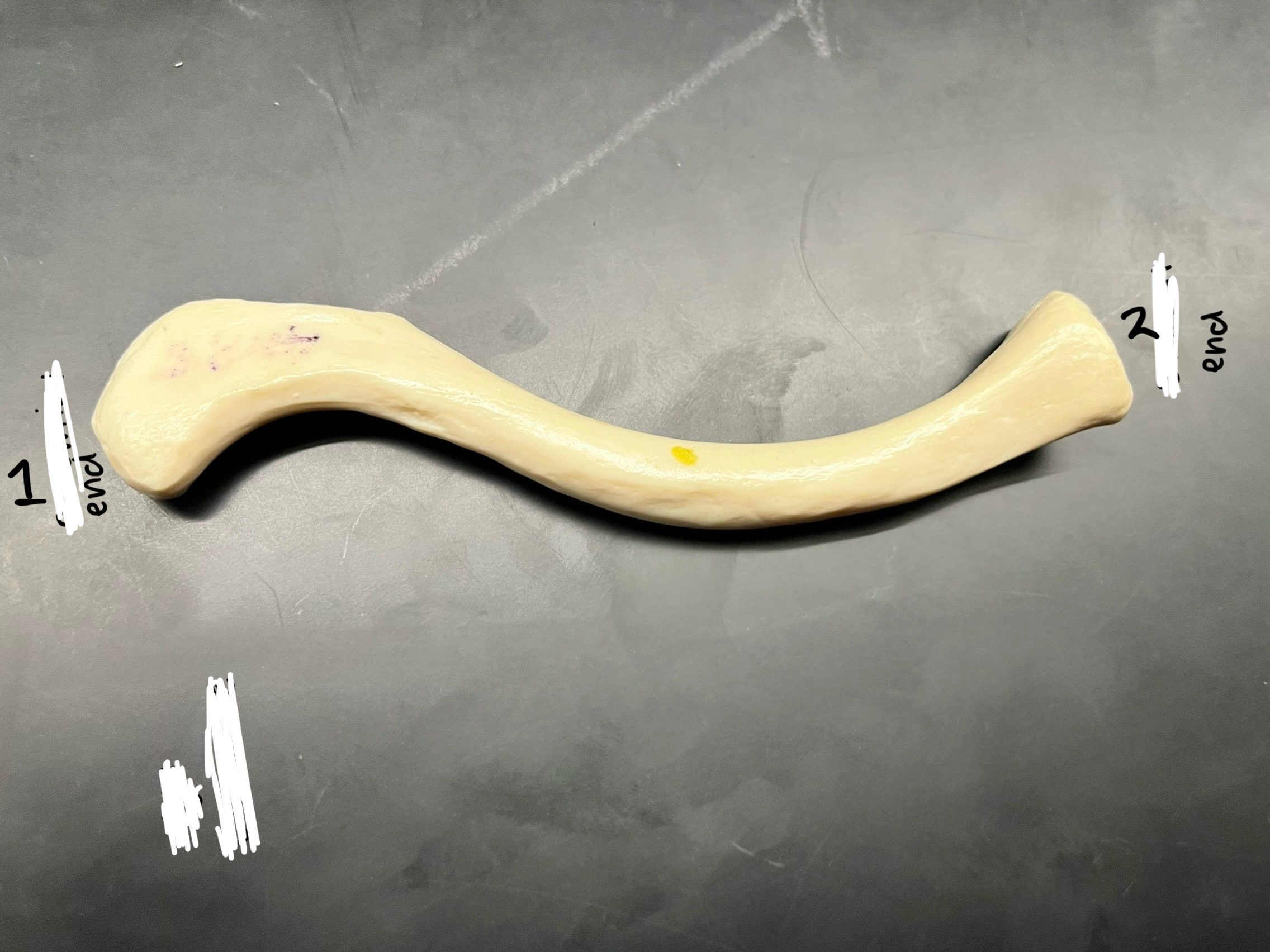 <p>what is this? which side? </p>