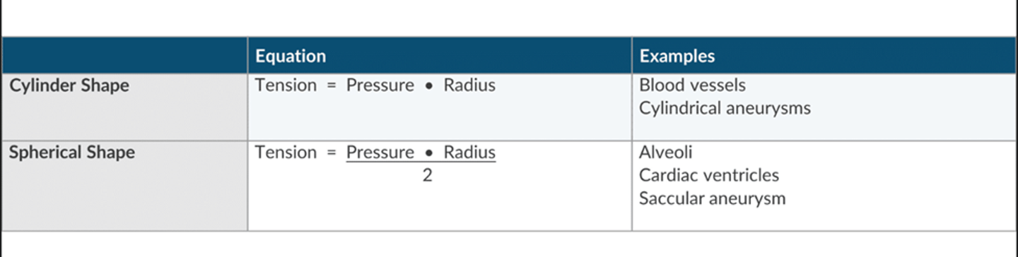<p>the relationship of pressure, radius, and wall tension</p>