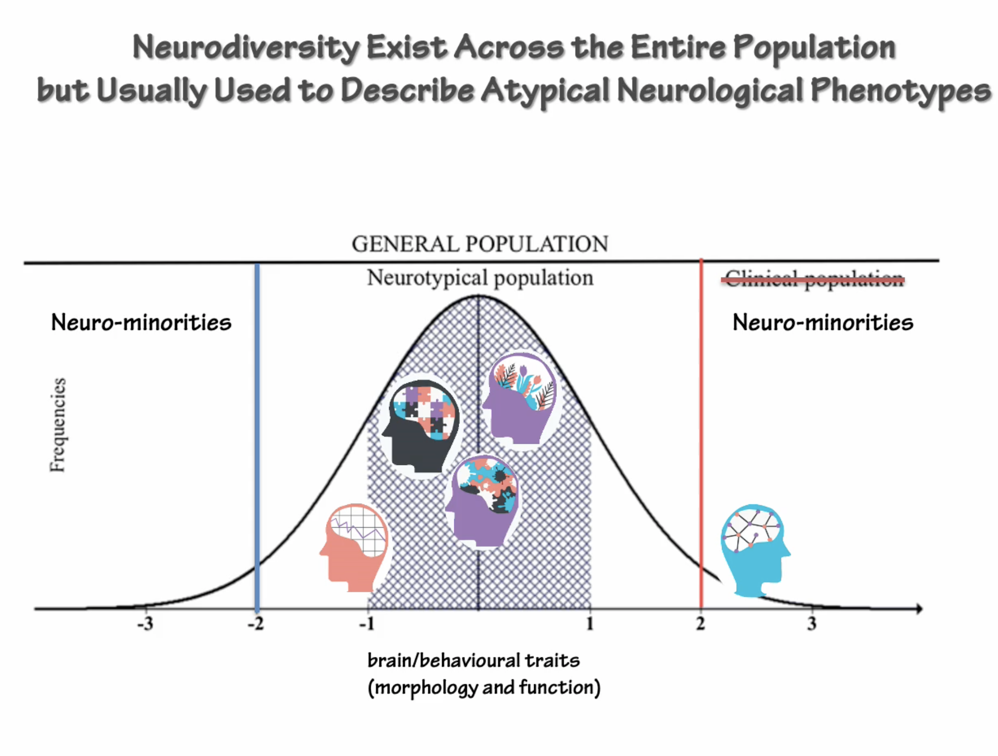<p><strong>JUDY SINGER suggested that </strong> The variation in the human brain and the human experience are natural diversity, <u>NOT pathology </u></p><p></p><p>Neurodiversity exists across the entire population, but is used to describe <strong><u>ATYPICAL NEUROLOGICAL PHENOTYPES on tail-ends of the curve, </u></strong>some <strong>neurominorities </strong>are in the clinical population, others are not </p><ul><li><p>neurodiversity is often related to neurodevelopmental phases and neurodiversity-related DIAGNOSIS is often related to cognitive and behavioural assessments </p></li></ul><p></p>