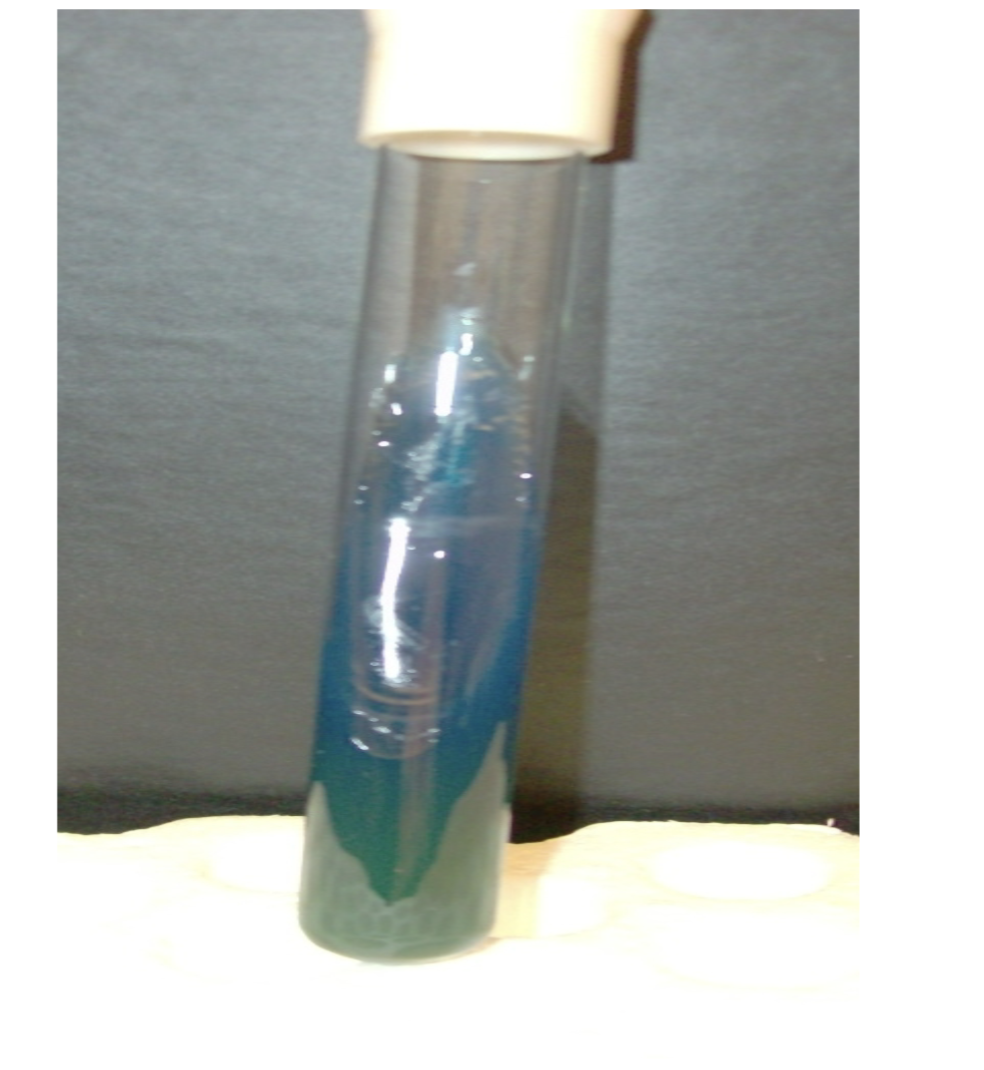 <p>what is the test and result?</p>