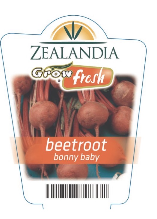 <p>Beetroot: Bonny baby</p>