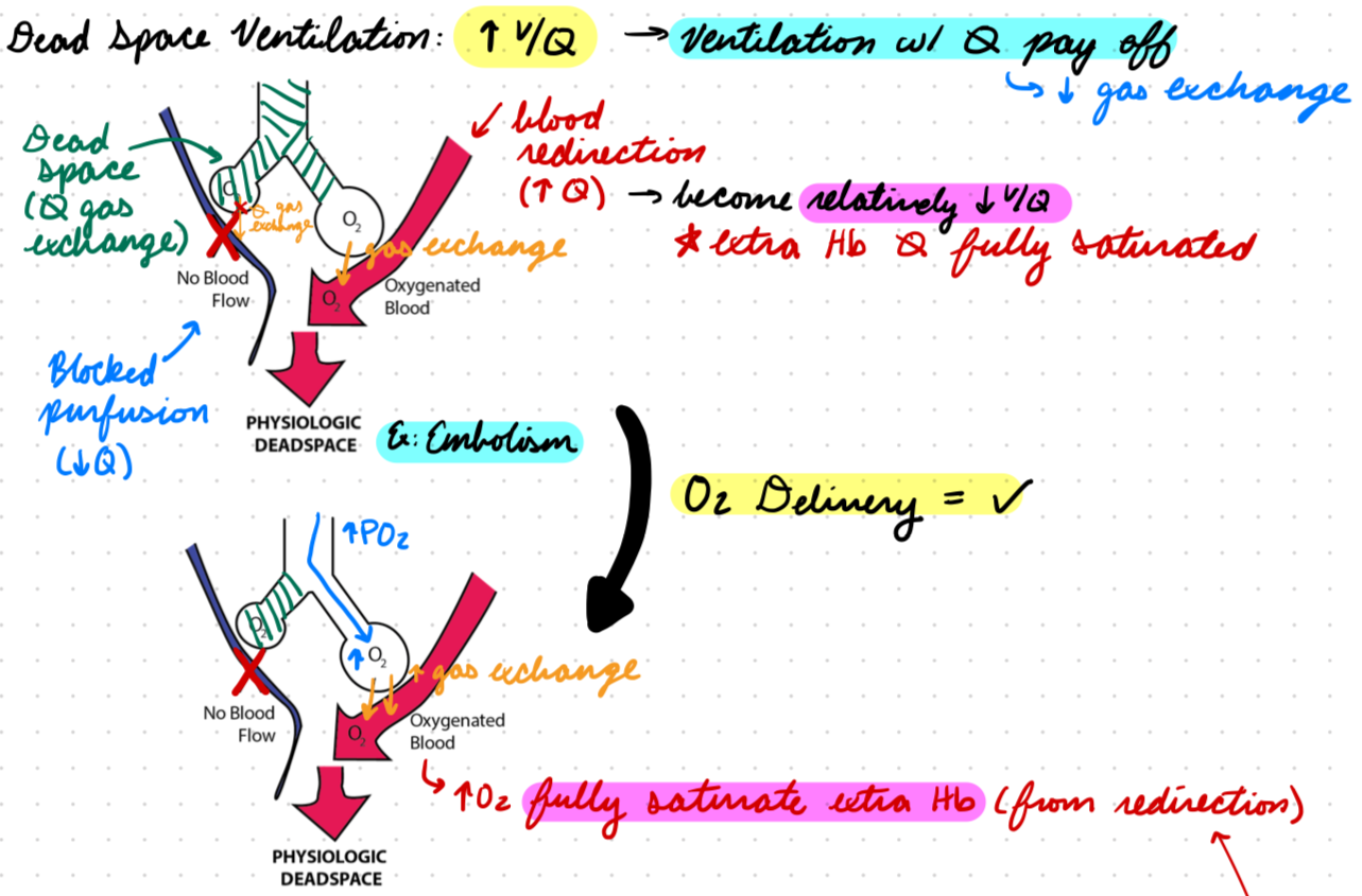 <p>Obstruction prevent perfusion to ventilated alveoli</p><ul><li><p>Ventilation with no pay off</p></li><li><p>Ex: Pulmonary embolism</p></li></ul><p>High V/Q</p><p>Redistribute to regions with blood flow (decrease V/Q)</p><p>Give O2 = Increase saturation</p>