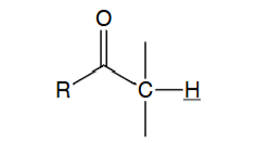 <p>alpha proton (i.e. proton adjacent to carbonyl)</p>