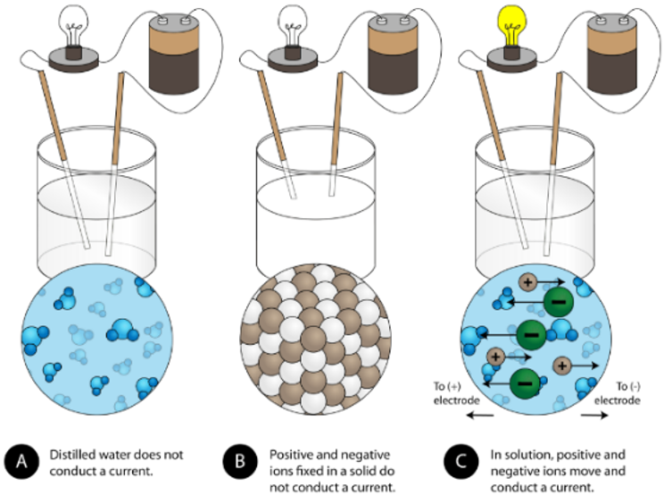 <p>solid: ions are fixed in place → cannot carry charge → will not conduct</p><p>liquid/molten: ions are mobile → can carry charge → will conduct</p>