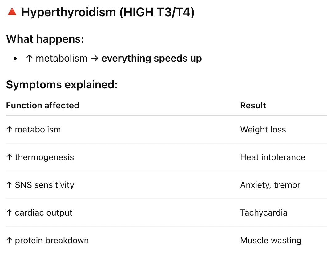 <p>hyperthyroidism: overactive thyroid; high T3/T4</p>