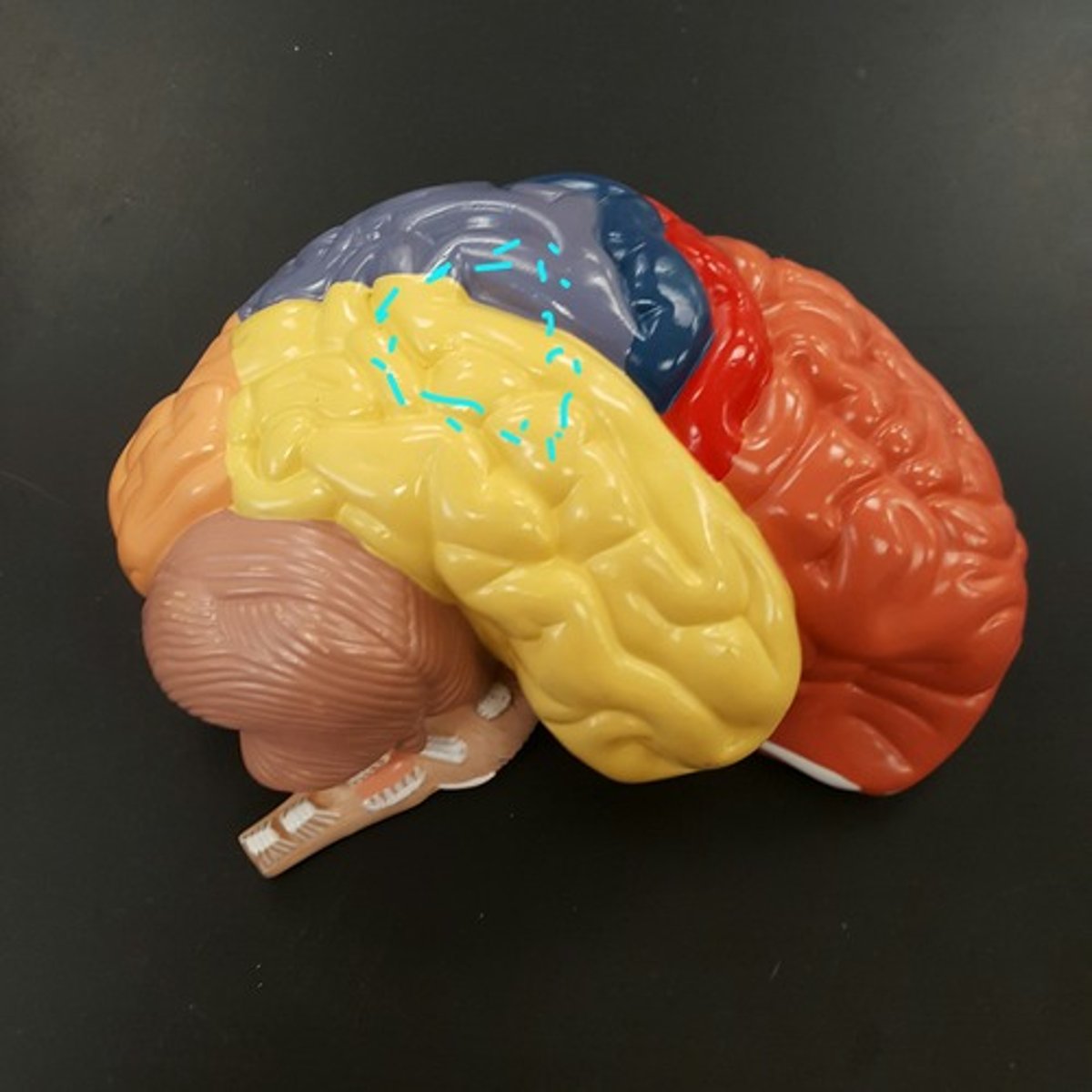 knowt flashcard image