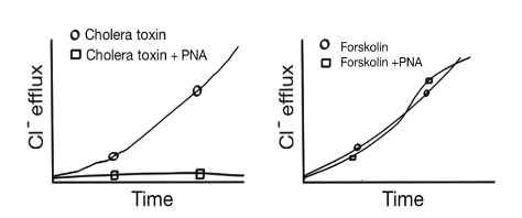 <p>Given the data, what is PNA doing?</p>