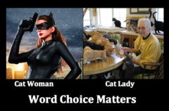 <p>the choice and use of words and phrases in speech or writing.</p>