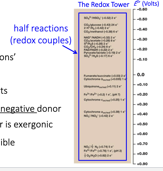 <p>O2 at the bottom, great electron acceptor and is beneficial to do so with coupled reactions</p>
