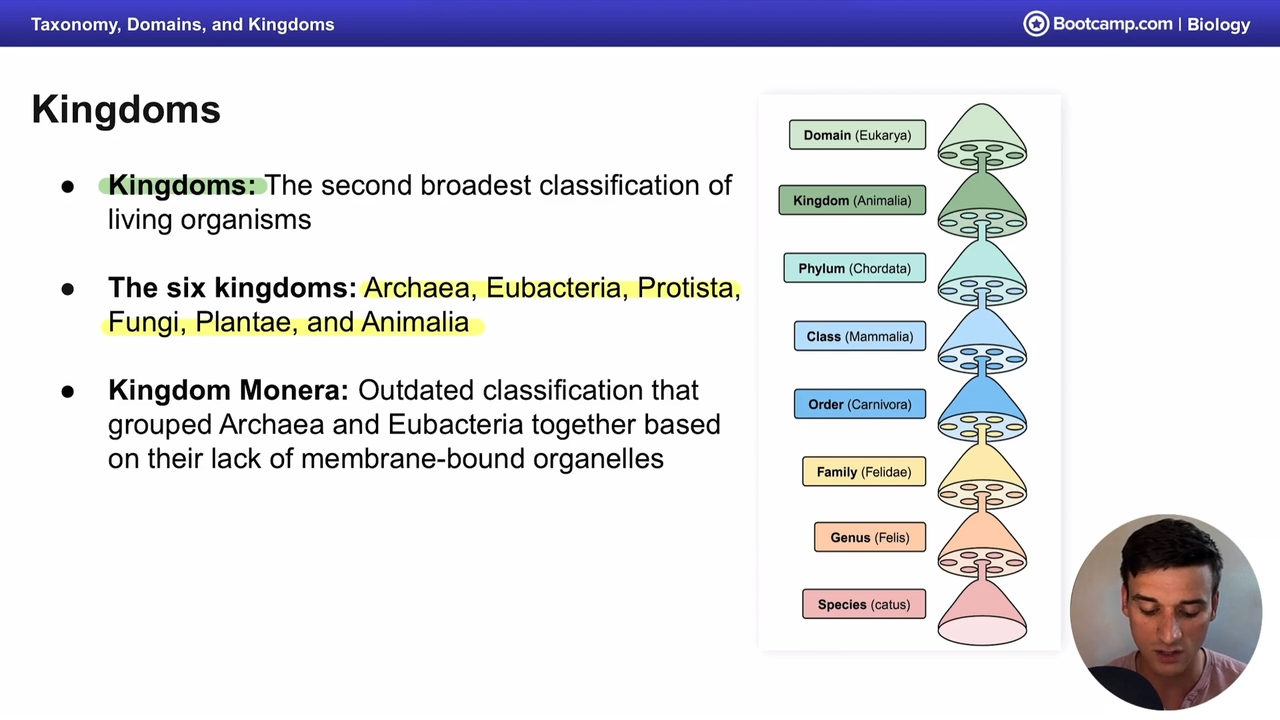 <p>outdated classification that grouped archea and eubacteria togehter due to their lack of membrane bound organelles</p>