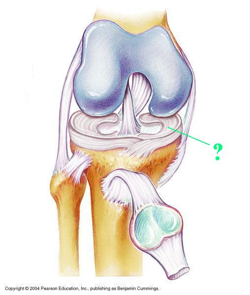 <p>Identify the structure</p>