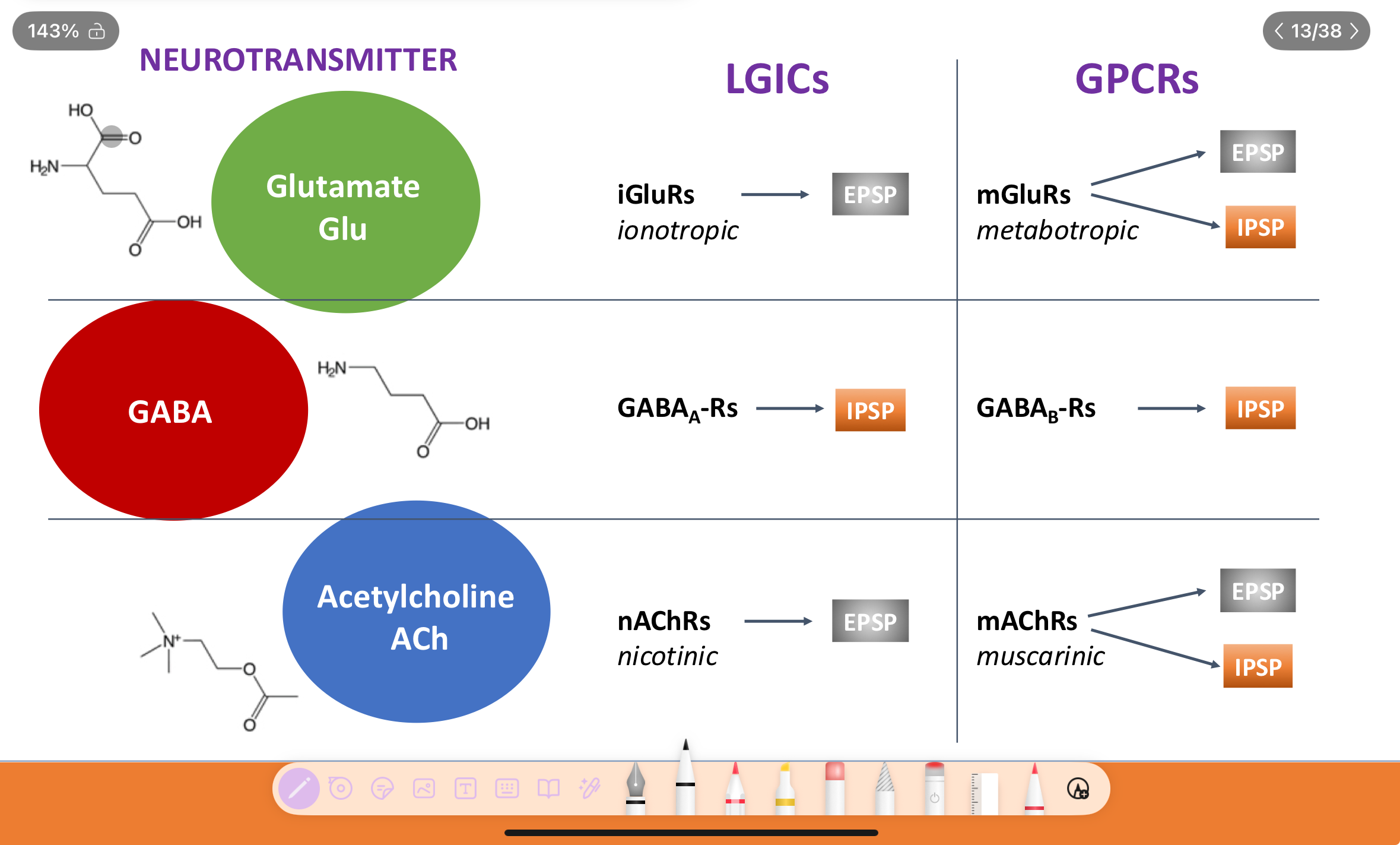 <ol><li><p>glutamate (Glu): commonly an EPSP in post synaptic cell</p></li><li><p>GABA: mainly an IPSP in postsynapitc</p></li><li><p>Acetylcholine (ACh): epsp vs ipsp depends on the receptor</p></li></ol><p></p>
