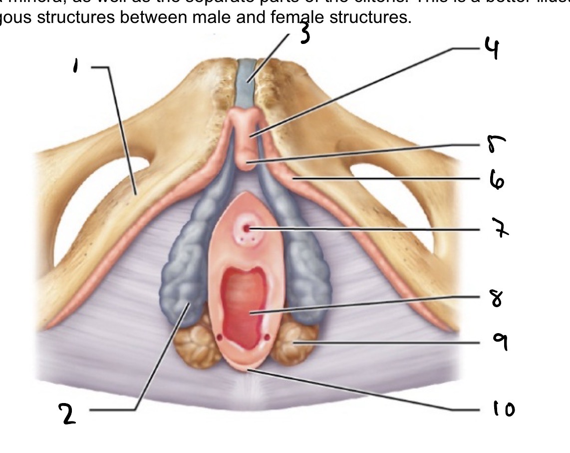 <p>10 </p>
