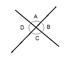 <p>angles on the opposite side of eachother are….</p>