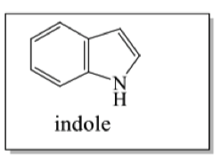 <p>where do indole alkaloids come from?</p>