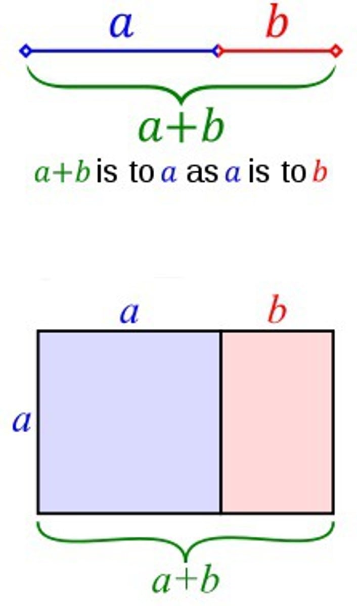 <p>The golden ratio can be found in these two plant life types.</p>