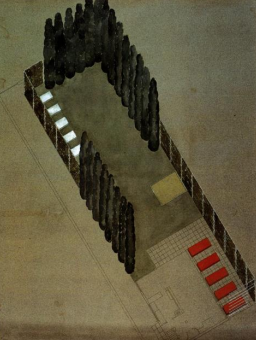 term image