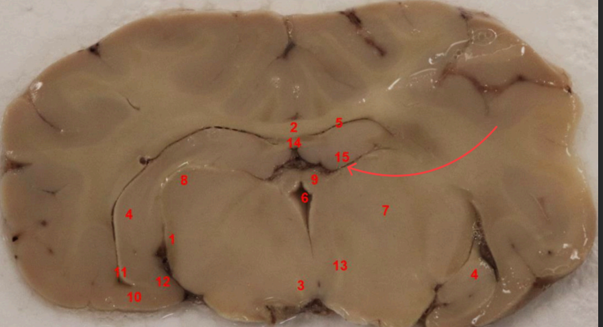<p>what area is this?</p>