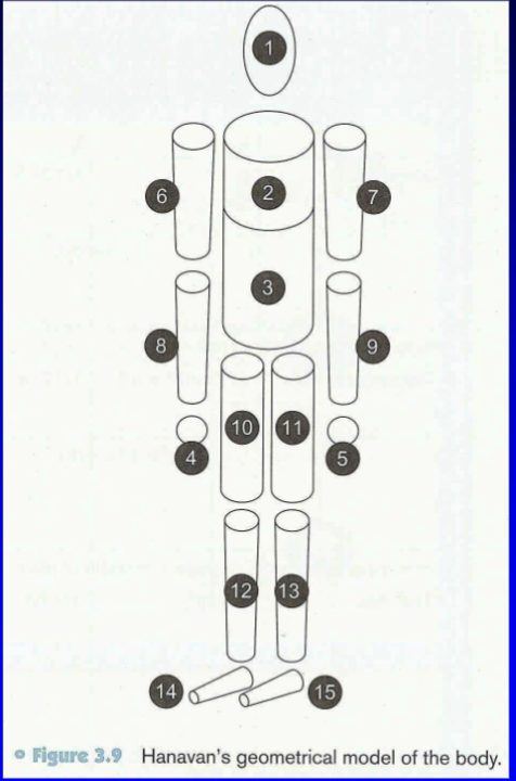 <p>Assumption: body segments can be modeled as geometrical shapes with constant distribution of mass</p><p>Geometrical shape</p><ul><li><p>Frustrum (most segments)</p></li><li><p>Sphere (hand)</p></li><li><p>Ellipsoid (head)</p></li></ul><p></p>