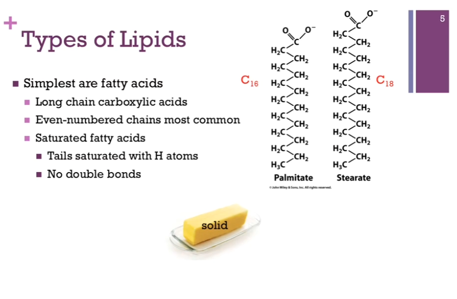 <p>Start with the SIMPLEST type of lipid: a fatty acid! They are long chain carboxylic acids, so they have <strong>carboxylic acid groups at the end</strong> (polar region!) (look at schematic!), but they have these LONG, hydrocarbon chains at the end that are mostly nonpolar/hydrophobic. Even-numbered chains are the most common! </p><p>PALMITATE on left of schematic! 16 carbon atoms in its chain. C_16. Stearate on the right of schematic has 18 carbon atoms. FOR palmitate and STERATE, you’ll notice these are SATURATED (think Simplest case of lipids = fatty acids = all hydrogen atoms, no double bonds, all single bonds!) fatty acids. THAT is the TAILS are saturated with hydrogen atoms. They’re all single bonds, no double bonds. Has to do with how they aggregate or pack together. AND that saturation means at room temperature, these tend to be solid like butter (SIMPLEST CASE, SATURATED, SINGLE BONDS, palmitate, Stearate, SOLID). </p>