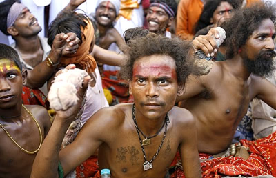<p>Dravidians</p>