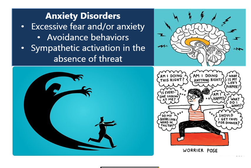 <p>anxiety disorder</p>