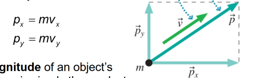 <p>vector, its a result from the object speed and mass </p>
