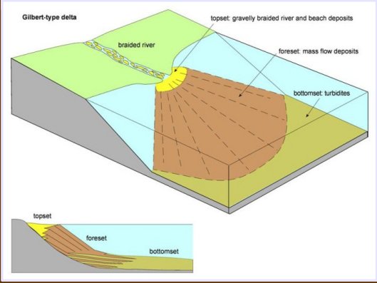 <p>High gradient mountain streams empty into a body of water. Coarse grained topset is subaerial to shallow water, delta front (foreset) is distinctive from steep dip (30 deg), and fine-grained bottom set flattens out</p>