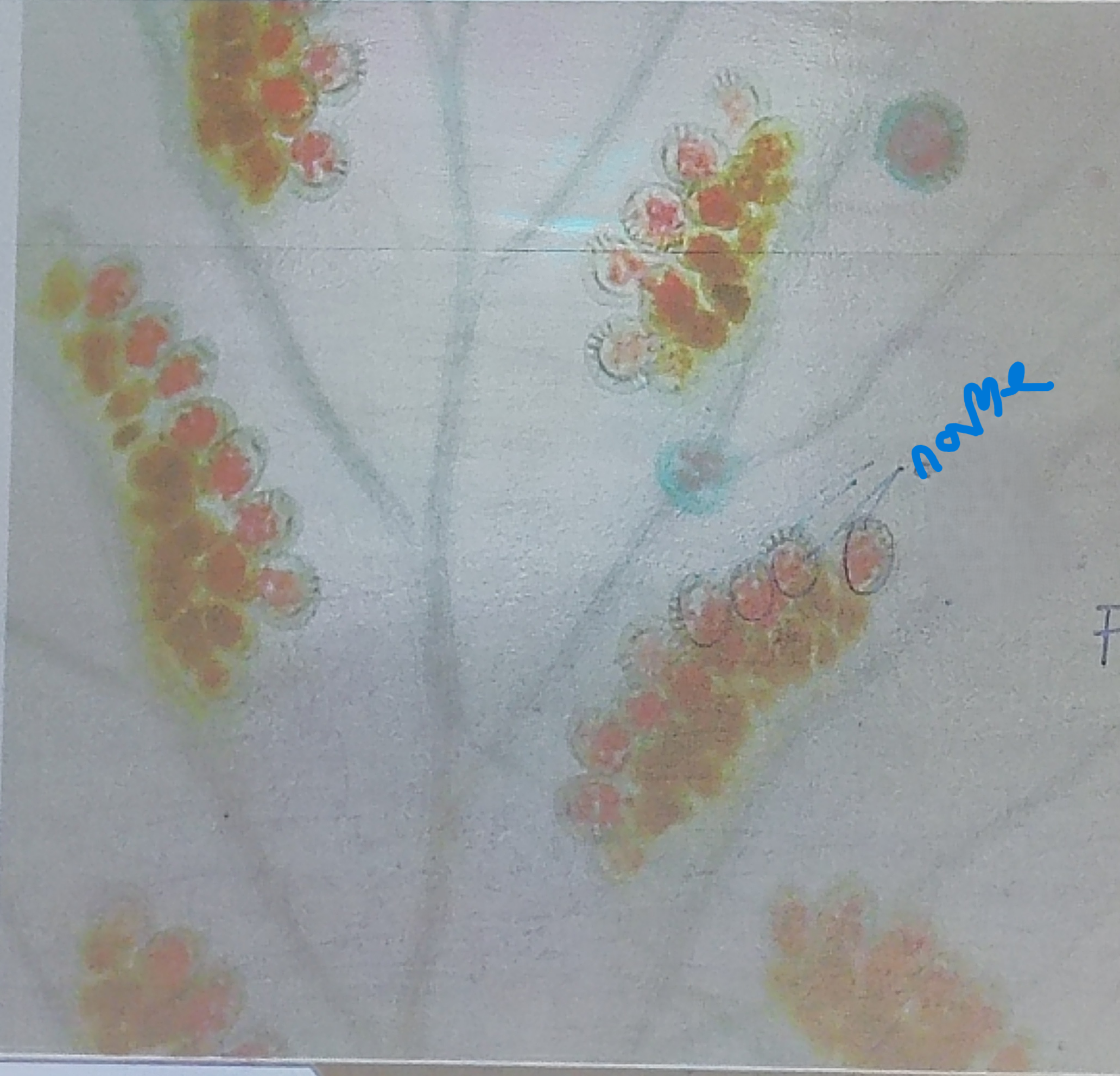 <ol><li><p>Name the part</p></li></ol><p></p>