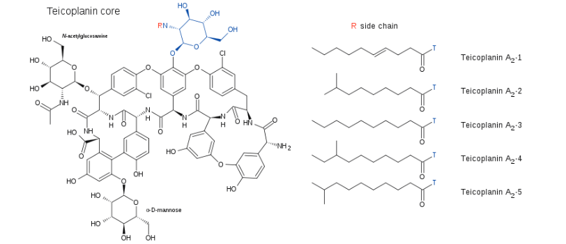 <p>Mixture of 5 compounds, various side chains</p><ul><li><p>Different antibacterial activity</p></li><li><p>Potential for variable toxicity</p></li><li><p>Complex quality control</p></li><li><p>Differences in pharmacokinetics</p></li><li><p>Relative proportions of each component can vary between manufacturing batches</p></li></ul><p></p>