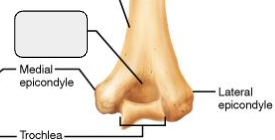<p>What marking?</p>