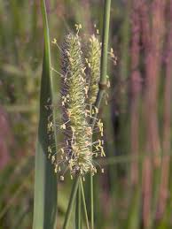 <p>Mis on pildil?</p>