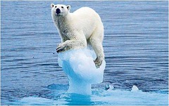 <p>ability of an organism to survive and reproduce under changing environmental conditions</p>