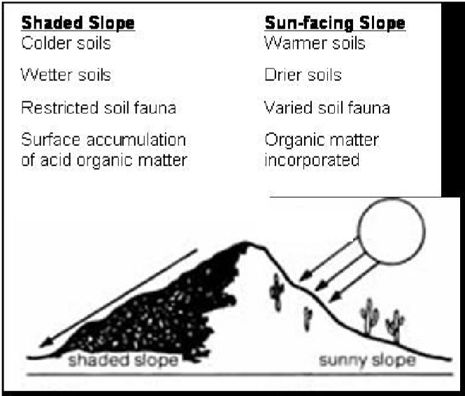 <p><strong>Microklimaat</strong></p>