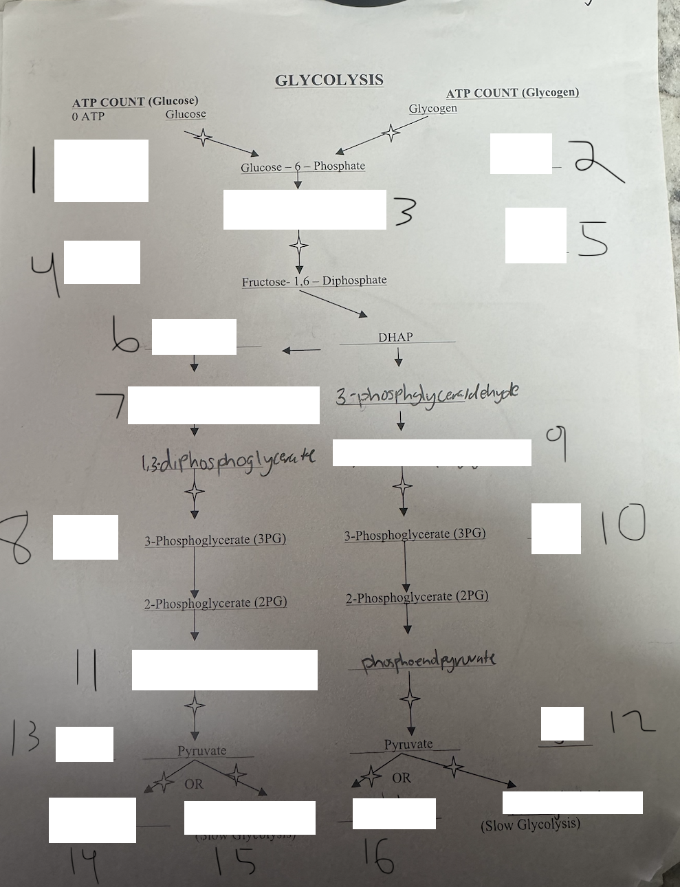 <p>6</p>