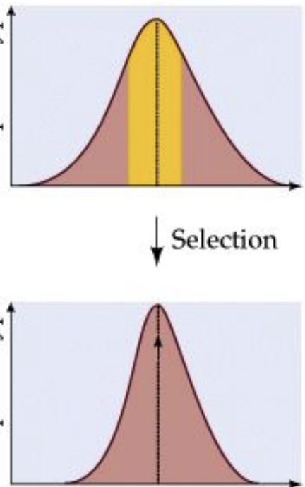 <p>Which form of natural selection is this </p>