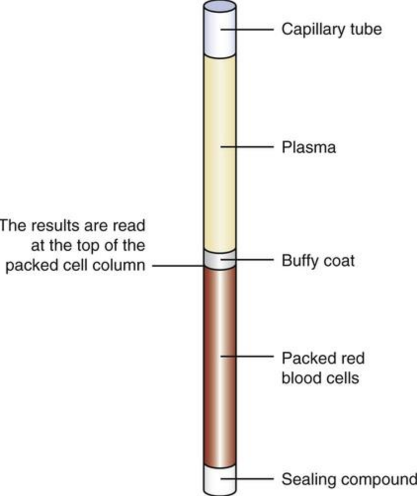 <p>What is hematocrit?</p>