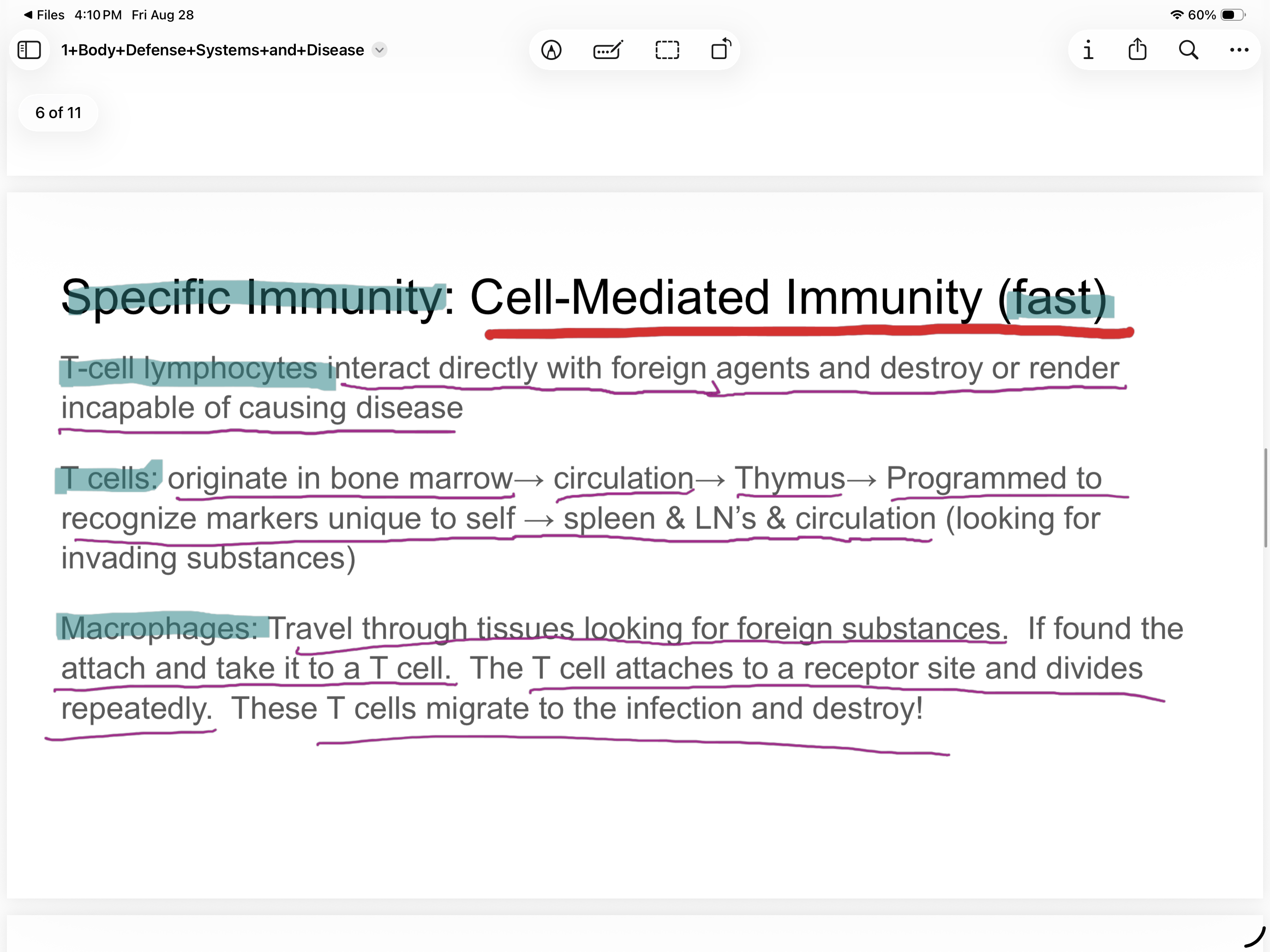 knowt flashcard image