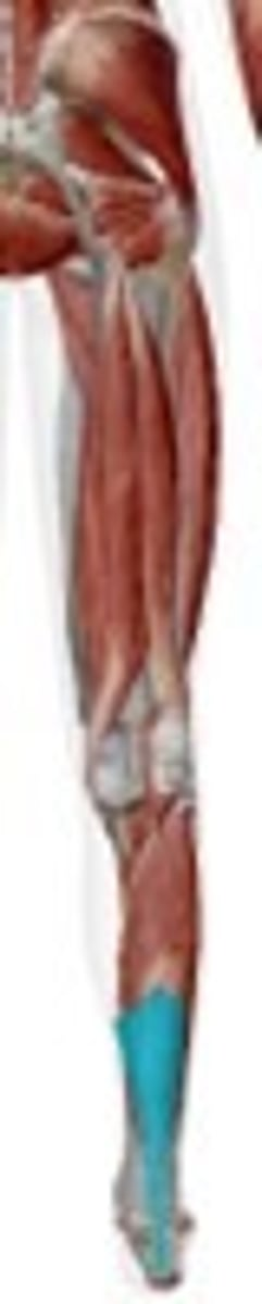 <p>What is this and what is it for?</p>