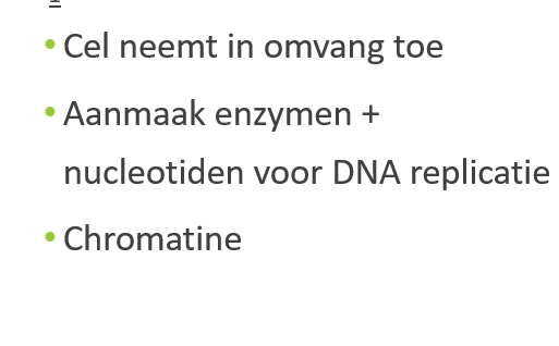 <p>Groeifase 1</p>