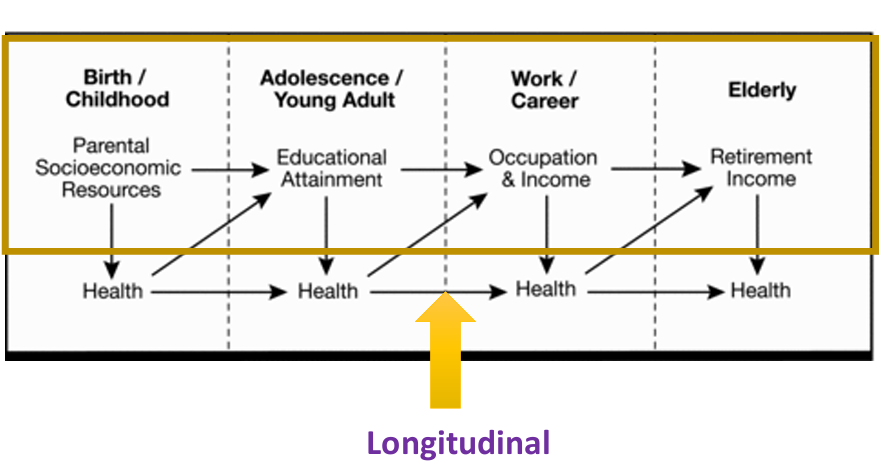 <p>Social factors interact and influence aging, contributing to social location, health outcomes, and marginalization.</p>