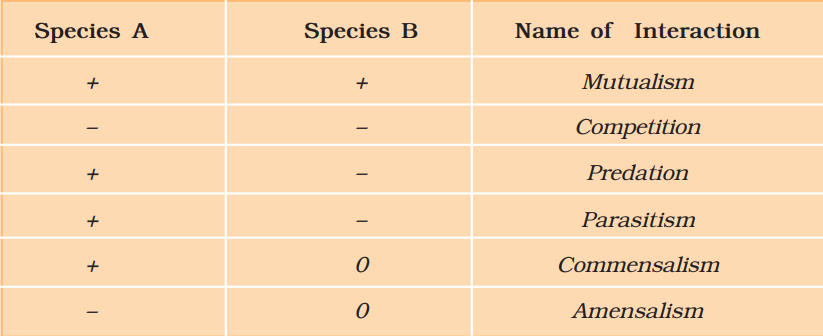 <p>Interspecific interactions arise from the interaction of populations of</p><p>two different species. They could be beneficial, detrimental or neutral</p><p>(neither harm nor benefit) to one of the species or both. Assigning a ‘+’</p><p>sign for beneficial interaction, ‘-’ sign for detrimental and 0 for neutral</p><p>interaction.</p><p>Both the species benefit in mutualism and both lose in competition in</p><p>their interactions with each other. In both parasitism and predation only</p><p>one species benefits (parasite and predator, respectively) and the interaction</p><p>is detrimental to the other species (host and prey, respectively).</p><p>The interaction where one species is benefitted and the other is neither</p><p>benefitted nor harmed is called commensalism. In amensalism on</p><p>the other hand one species is harmed whereas the other is</p><p>unaffected. Predation, parasitism and commensalism share a common</p><p>characteristic– the interacting species live closely together.</p>