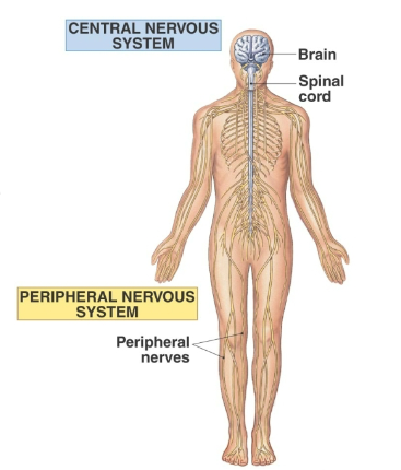 <p>What system?</p>