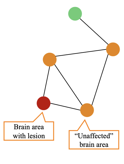 <p><span><strong>Diaschisis</strong></span> = brain injury/disease may have more widespread effects:</p><ul><li><p><span>Differences in organisation may influence information processing streams</span></p></li><li><p><span>Connections may affect transfer between areas (axonal lesions)</span></p></li><li><p><span>Differences in synchronisation may affect communication</span></p></li></ul><p></p>
