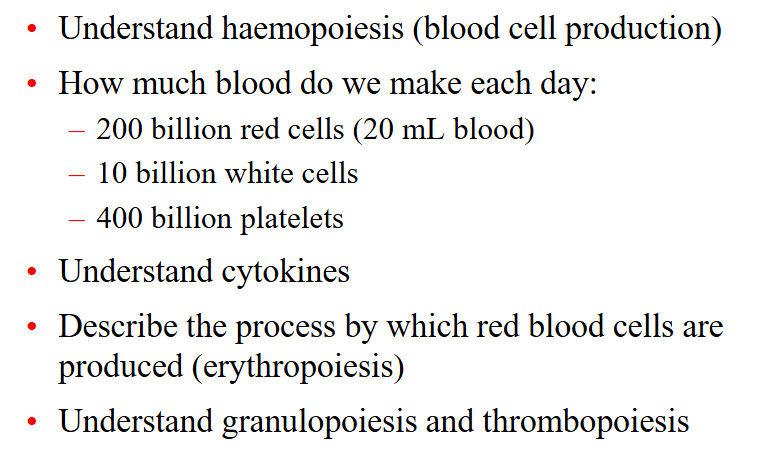 <p>DIAGRAM ON SLIDE 38</p>