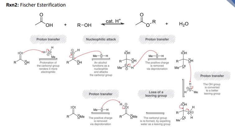 <p><strong><u>Reaction #9) - _________ </u></strong></p><ul><li><p>Forms an Ester <strong>“on” the -OH of the carboxylic acid using the “R” of the alcohol utilized. </strong></p></li></ul><p></p>