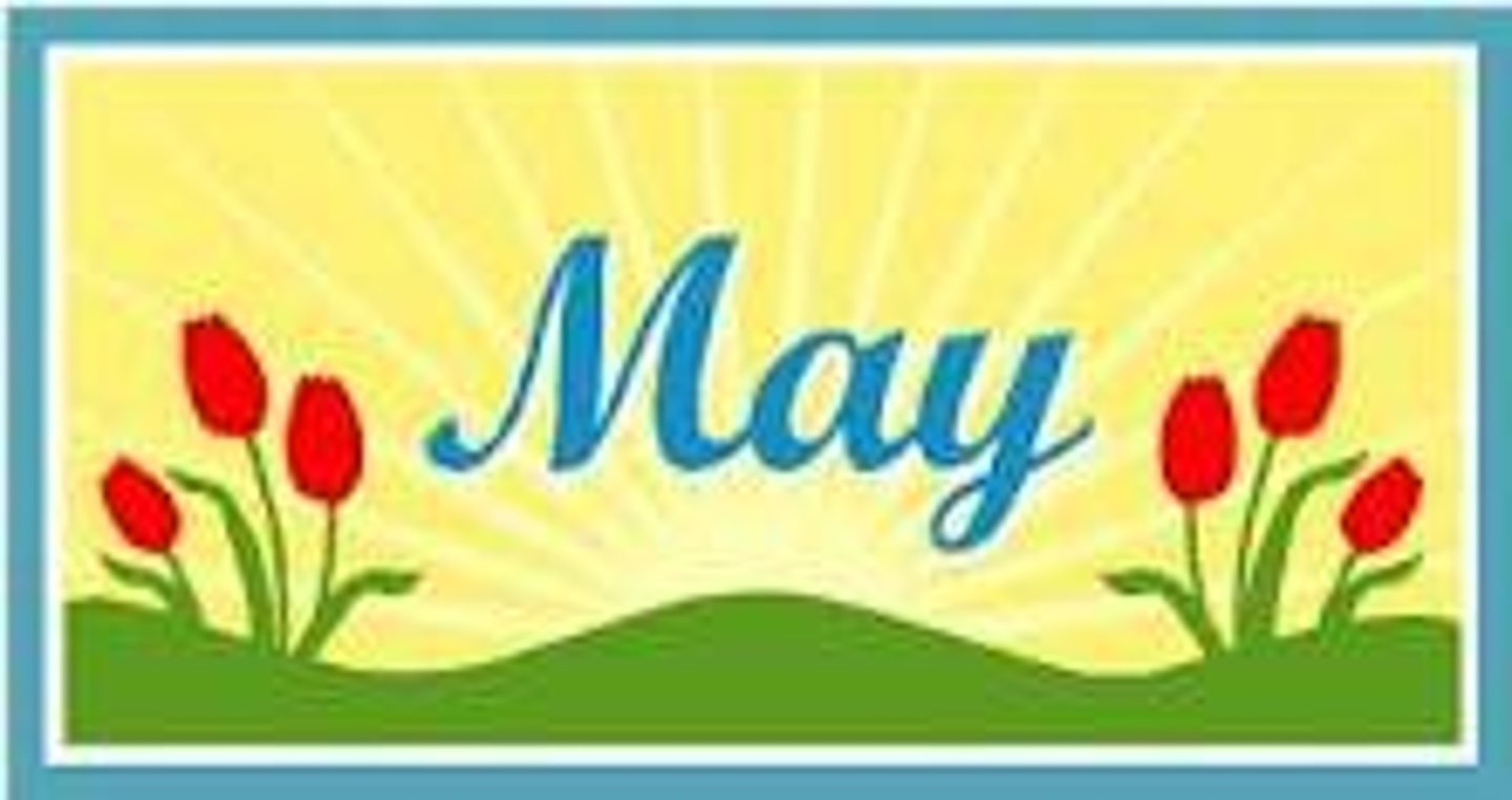 <p>mayo</p>