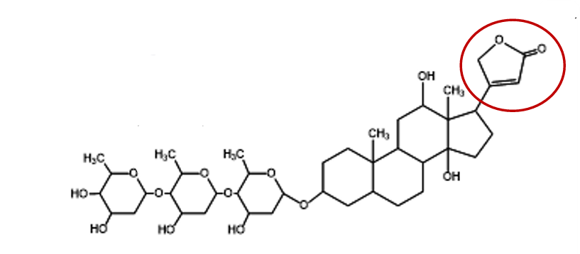 <ul><li><p>nome</p></li><li><p>planta + especie</p></li><li><p>parte da planta</p></li><li><p>nome dos açucares </p></li></ul><p></p>