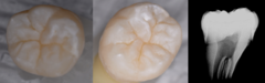 <p>What is the classification?</p>
