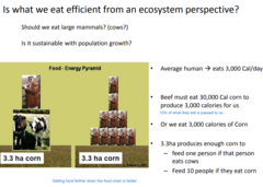 <p>Beef must eat 30,000 Cal corn to produce 3,000 calories for us.</p><p>10% of what they eat is passed to us.</p>